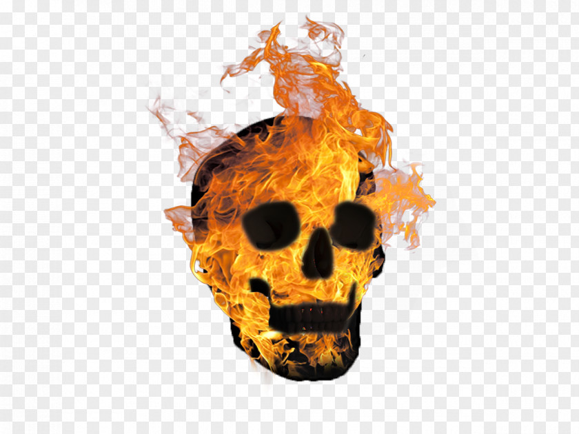 Skull Fire Image Download PNG