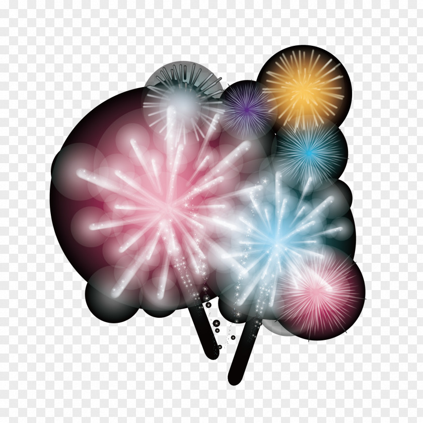 Vector Color Fireworks Adobe PNG