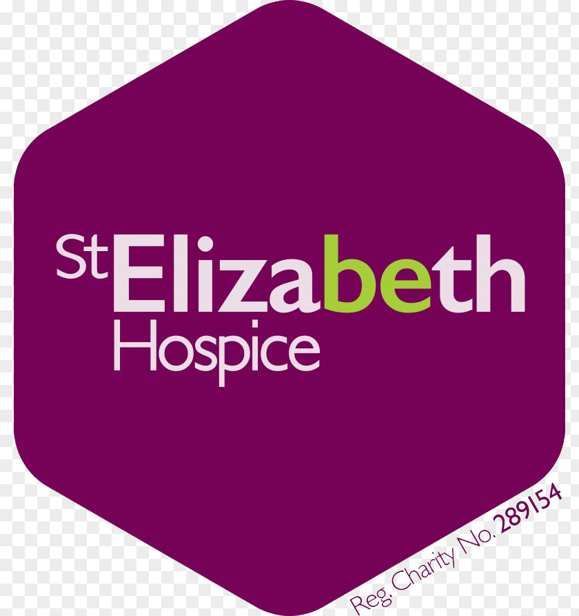 Chicago Hope Hospice And Palliative Spider. Fixed Fee Web Recruitment St Elizabeth Fit East Health Care PNG
