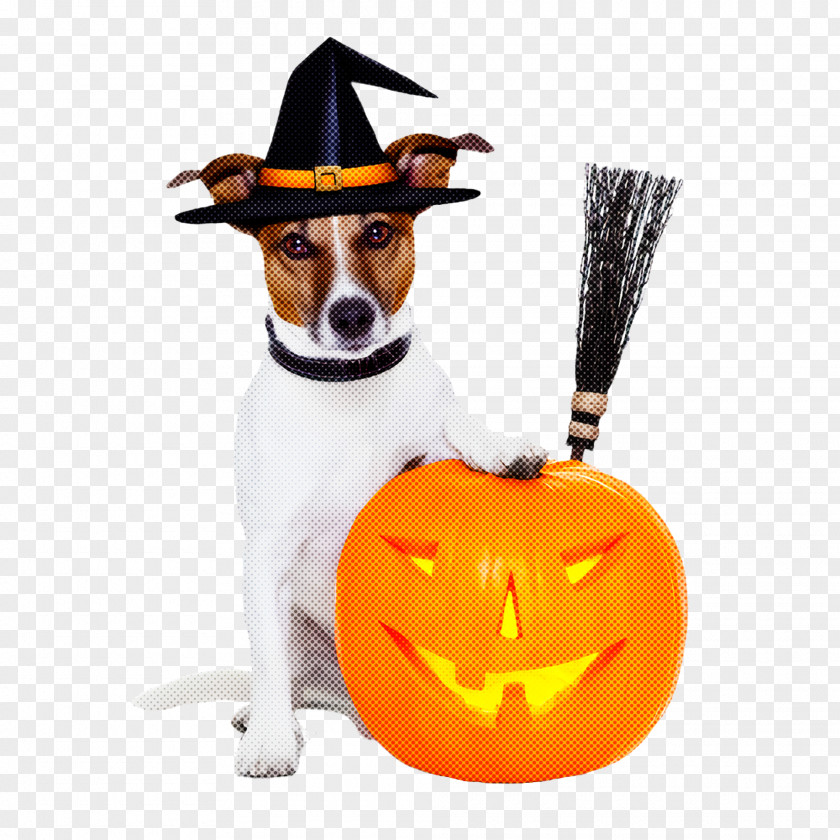 Costume Hat Dog Trick-or-treat PNG