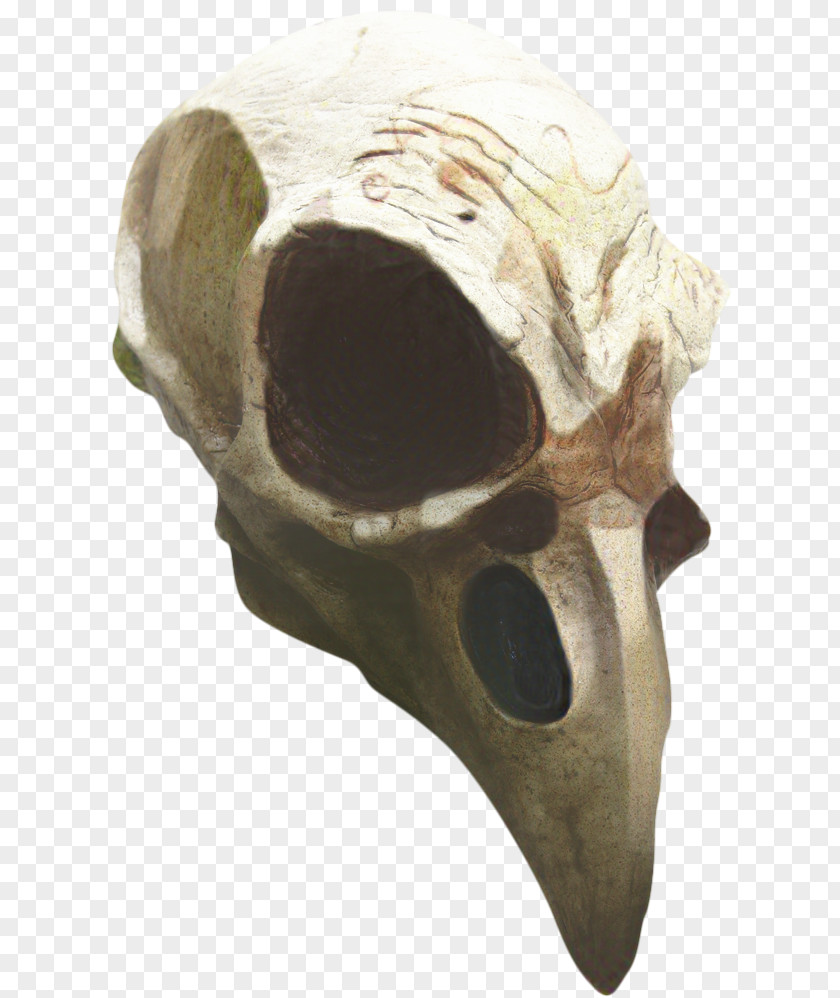 Ear Headgear Skull PNG