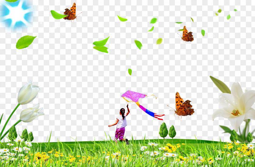 Lawn Butterfly PNG