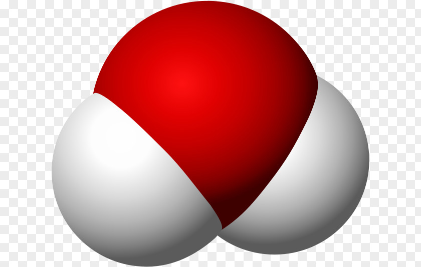 Sphere Egg Chemistry Cartoon PNG