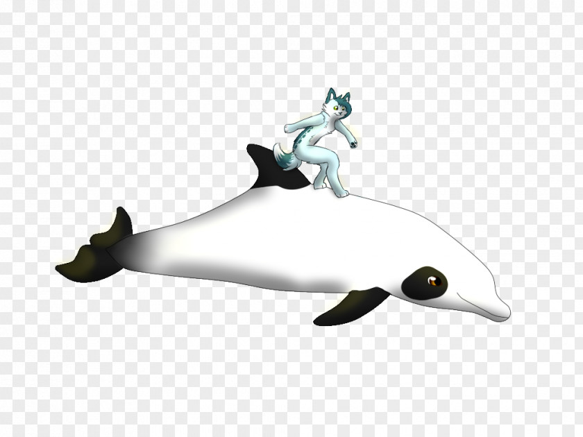 Dolphin Surfer Water Bird Product Flightless PNG