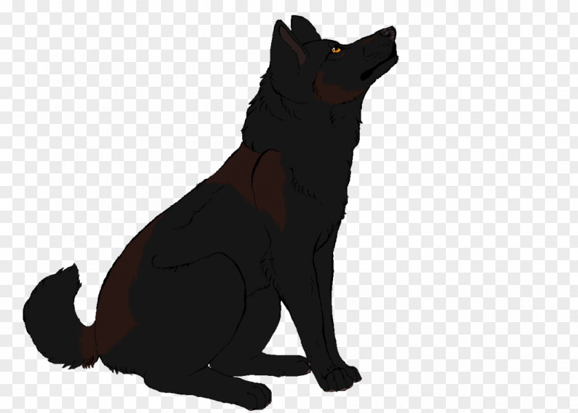 Filth Schipperke Black Cat Puppy Dog Breed PNG