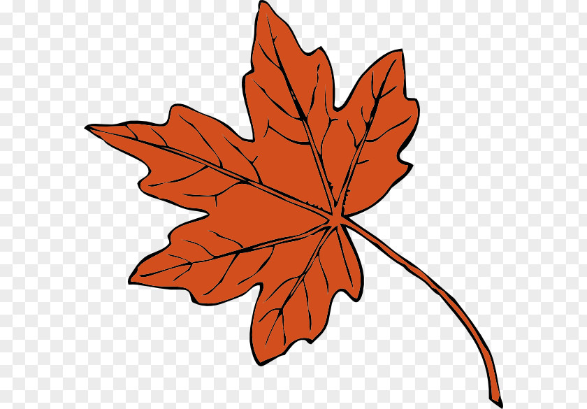 Maple Leaf Silhouette Clip Art PNG
