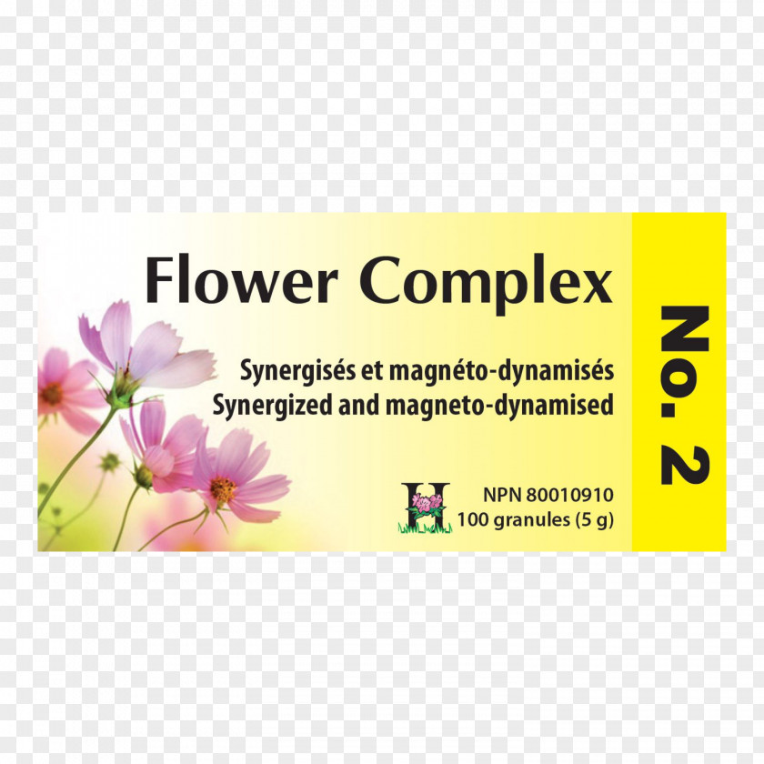 Plumbago Dietary Supplement Holism Tablet Brand PNG