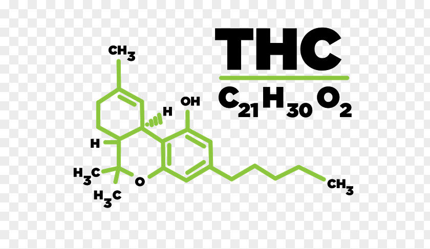 Thc Tetrahydrocannabinol Medical Cannabis Cannabidiol Hash Oil PNG