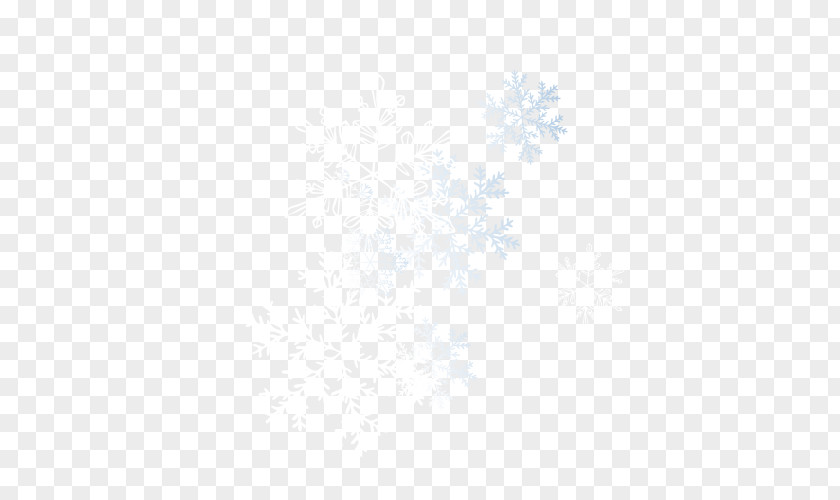 Transparent Snowflake Line Symmetry Point Angle Pattern PNG