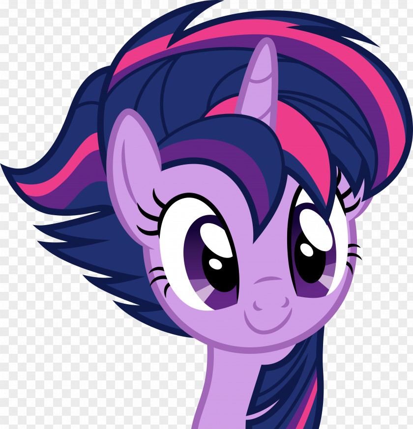 Twilight Sparkle Rarity Rainbow Dash Pinkie Pie Pony PNG