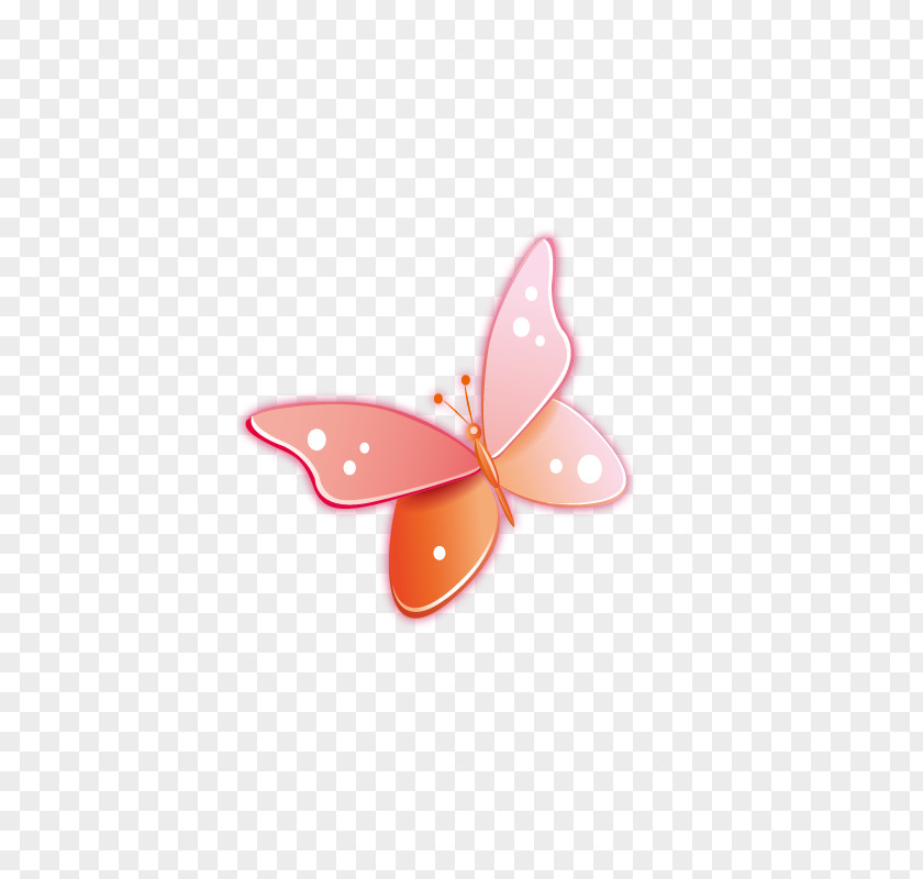 Butterfly Pattern PNG