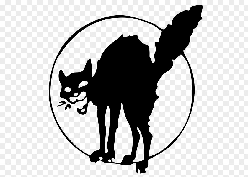 Cat The Black Anarchism Anarchy PNG