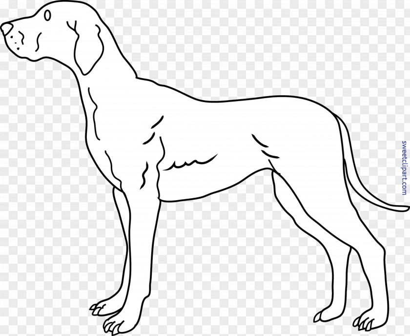 Dog Cartoon Puppy Basset Hound Black And White Clip Art PNG