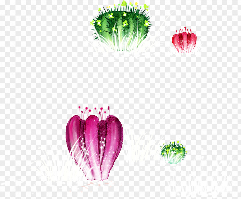 Hand-painted Cartoon Cactus Cactaceae PNG