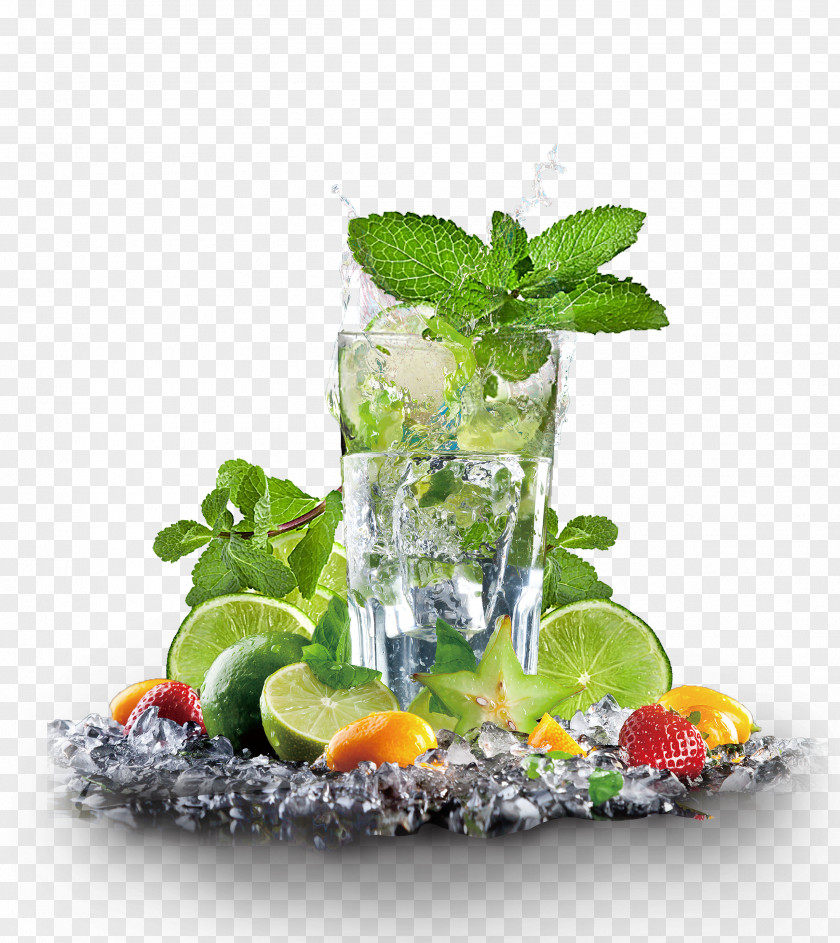 Lemon Tea Maghrebi Mint Juice Iced PNG