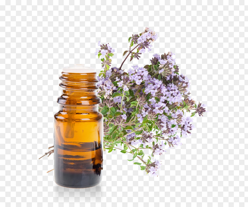 Linalool Garden Thyme Herb Pianta Aromatica Oil PNG