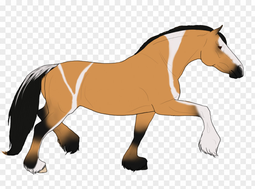 Mustang Mane Stallion Rein Pack Animal PNG