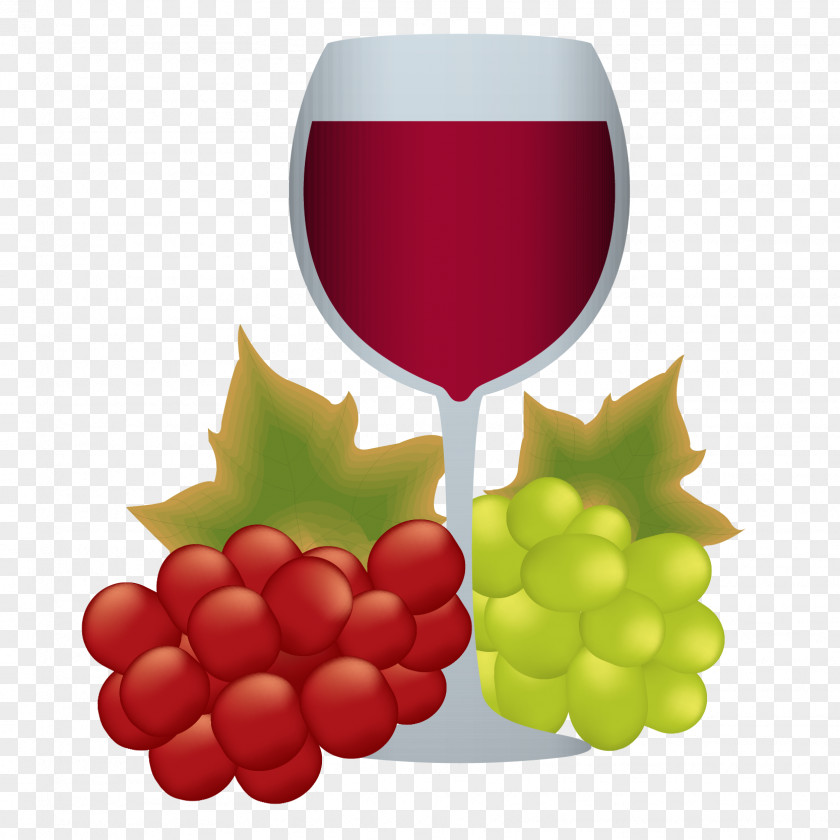 Vector Red Wine White Common Grape Vine PNG