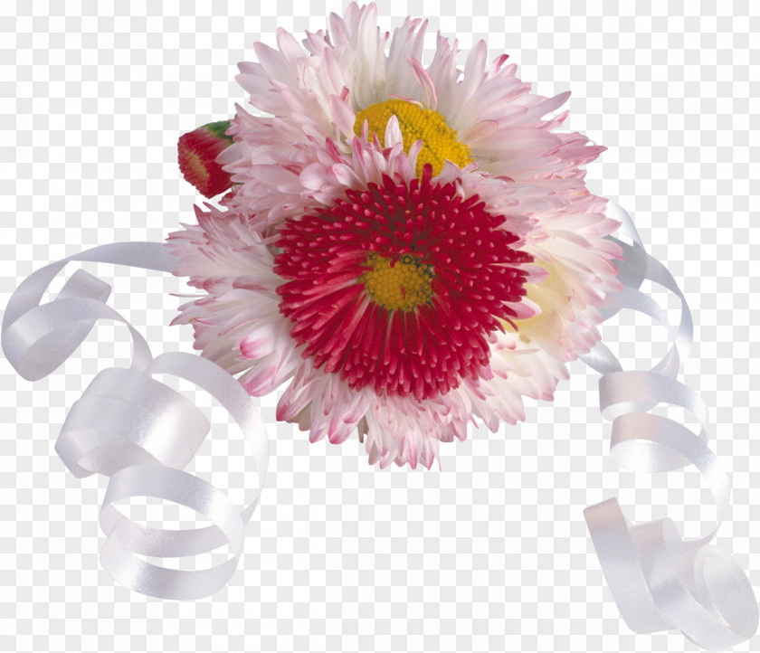 Chrysanthemum Festival Of The Flowers South Korea Floral Design PNG