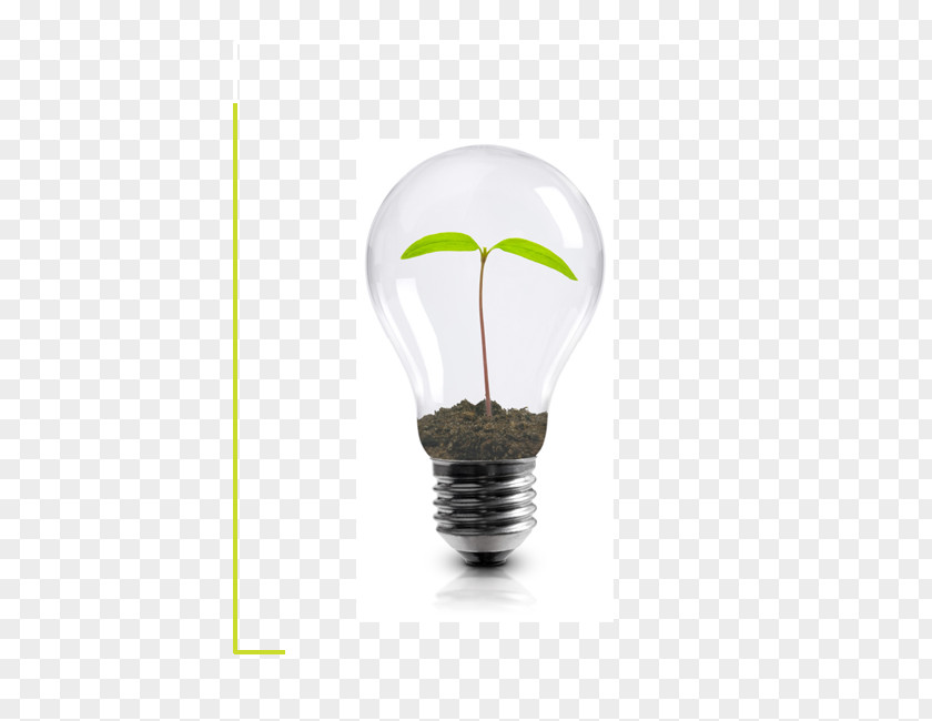 Light Incandescent Bulb Plant Business PNG