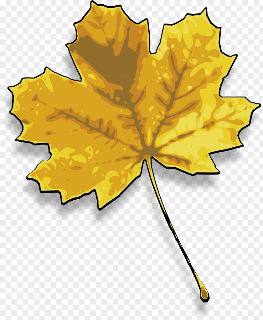 Maple Leaf Red Sugar Clip Art PNG