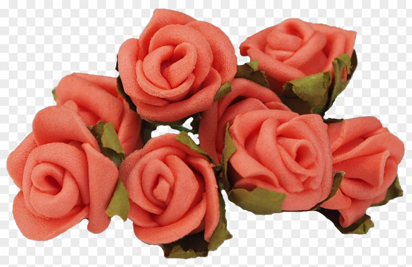 Peach Red Garden Roses Cut Flowers Petal PNG