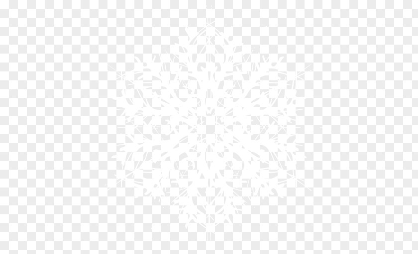 Snowflake Image PNG