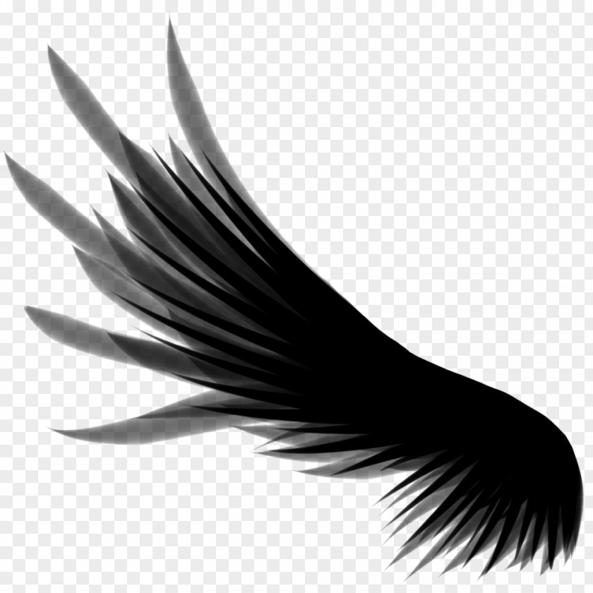 Wings DeviantArt Wing Clip Art PNG