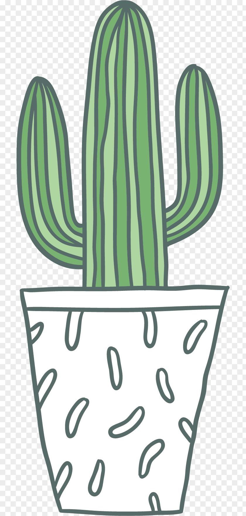 Cartoon Cactus Vector Samsung Galaxy S8 Cactaceae Euclidean PNG