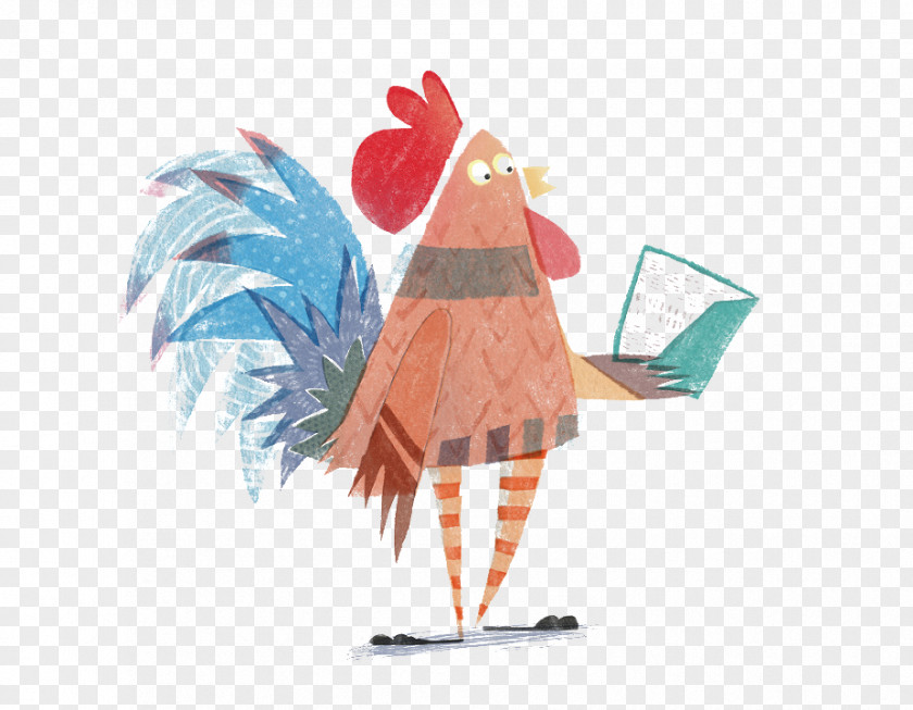 Cock Rooster Chicken Reading Illustration PNG