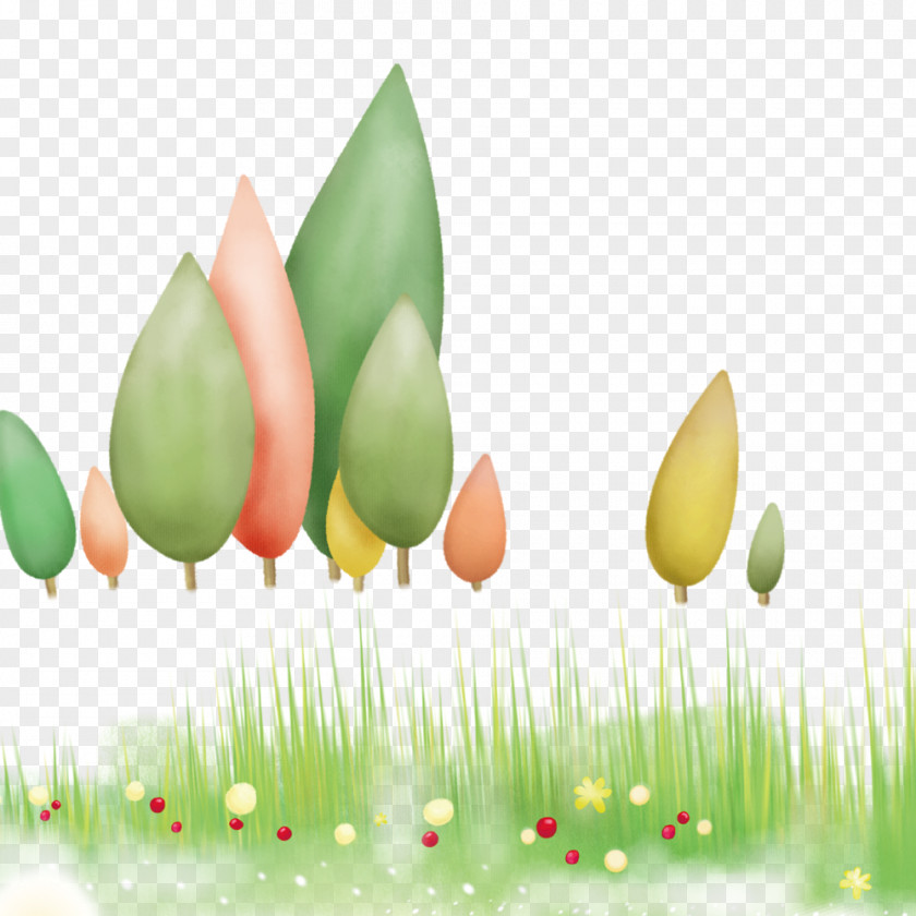 Grass Trees Cartoon Drawing PNG