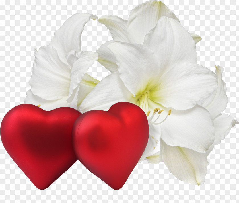 Lovely Romance Flower Love Heart Desktop Wallpaper PNG