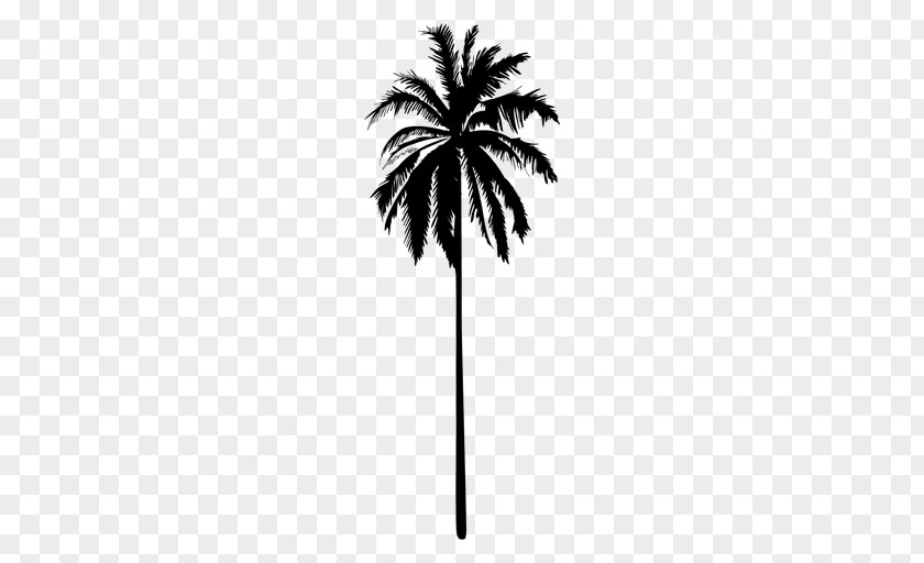 Paragliding And Vectors Drawing Silhouette Arecaceae Clip Art PNG