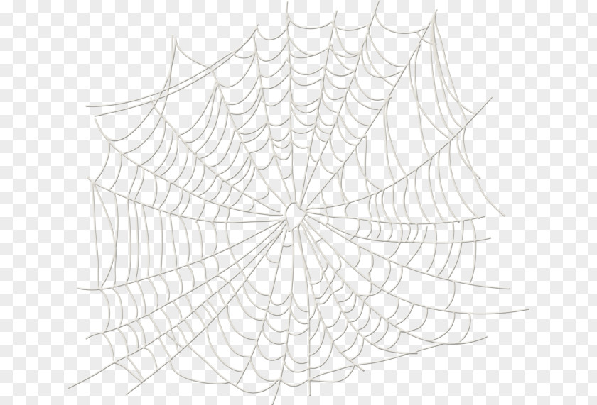 Spider Twig Symmetry White Pattern PNG