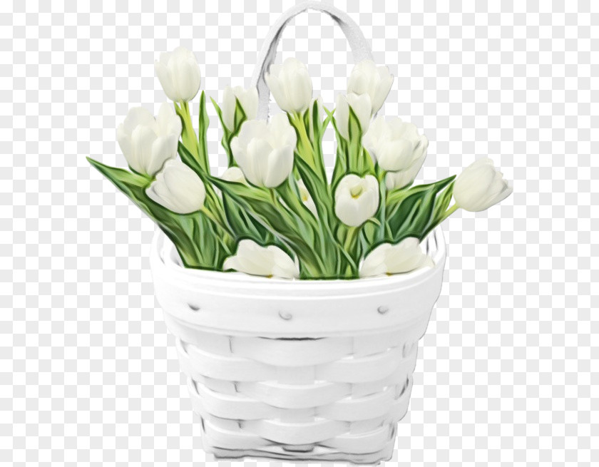 Bouquet Snowdrop Flower White Flowerpot Cut Flowers Plant PNG