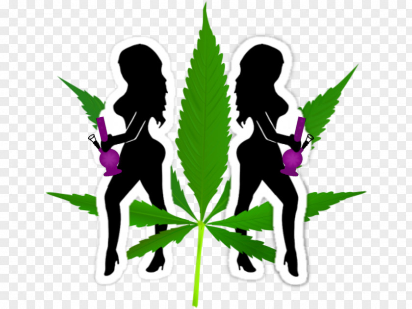 Cannabis Ganja Girls LLC Hemp Bong Head Shop PNG