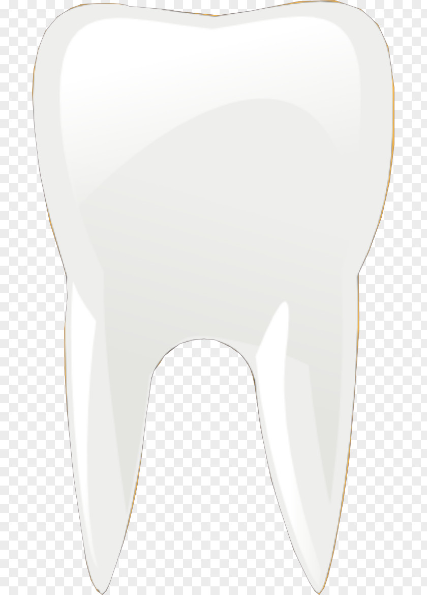 Dental Staff Professional Appearance Human Tooth Product Design PNG