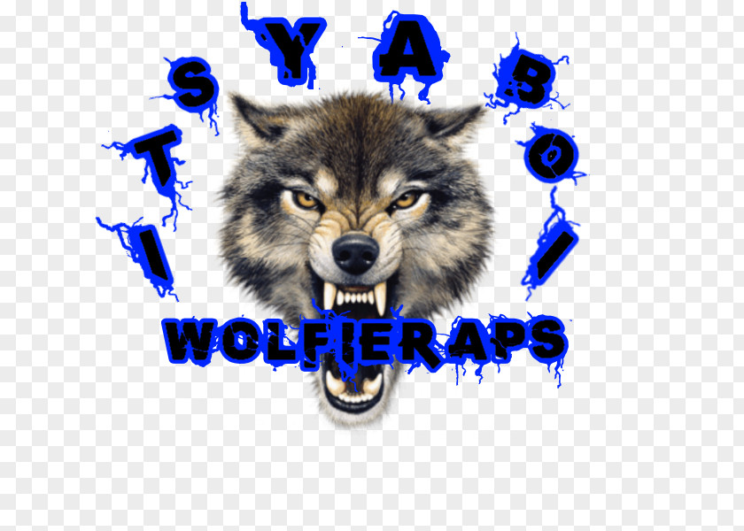 Dog Coyote Snarl Tattoo Gray Wolf PNG