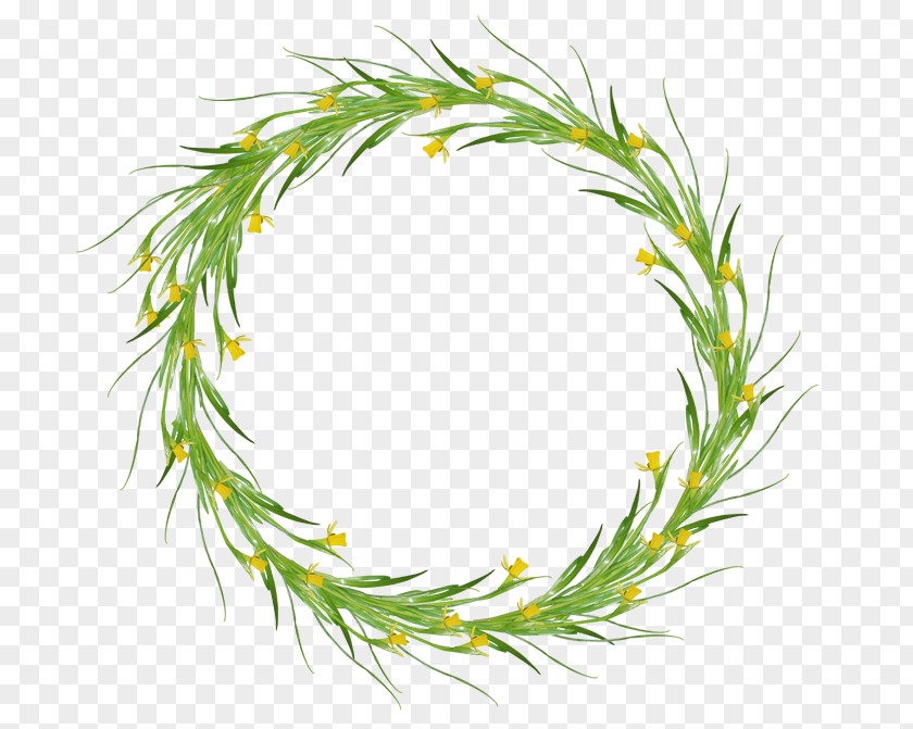 Garland Picture Frames Image Wreath PNG