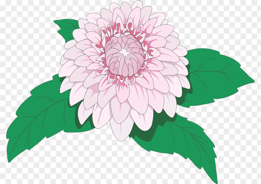 Vhs Flower Dahlia Rose PNG