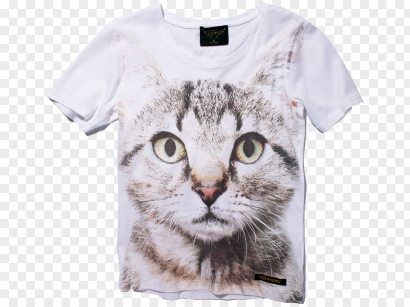 Cat Nose Whiskers Kitten Tabby T-shirt PNG