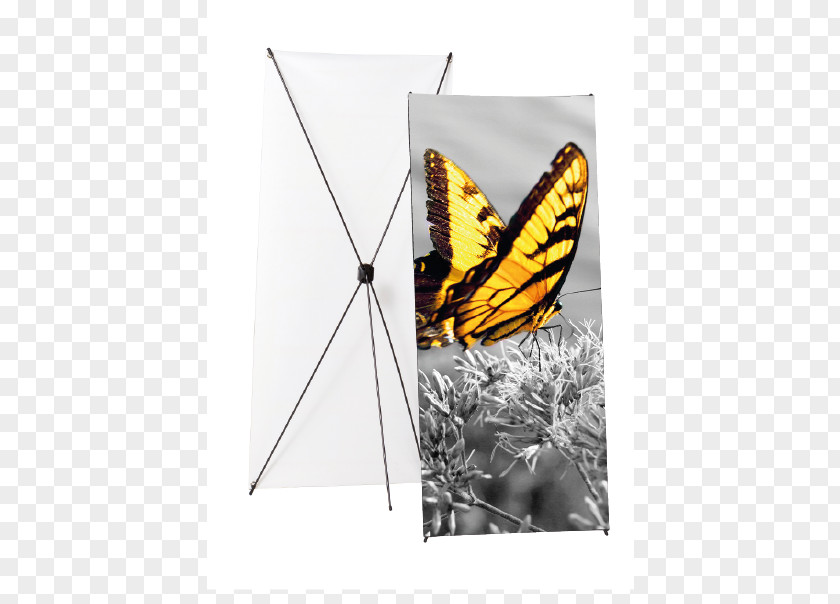 Personalized Fashion Banner Monarch Butterfly Web Brush-footed Butterflies Advertising PNG