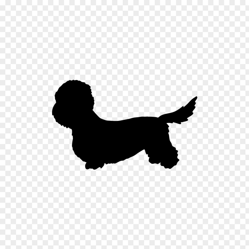 Puppy Dog Breed Dandie Dinmont Terrier Australian Airedale Companion PNG