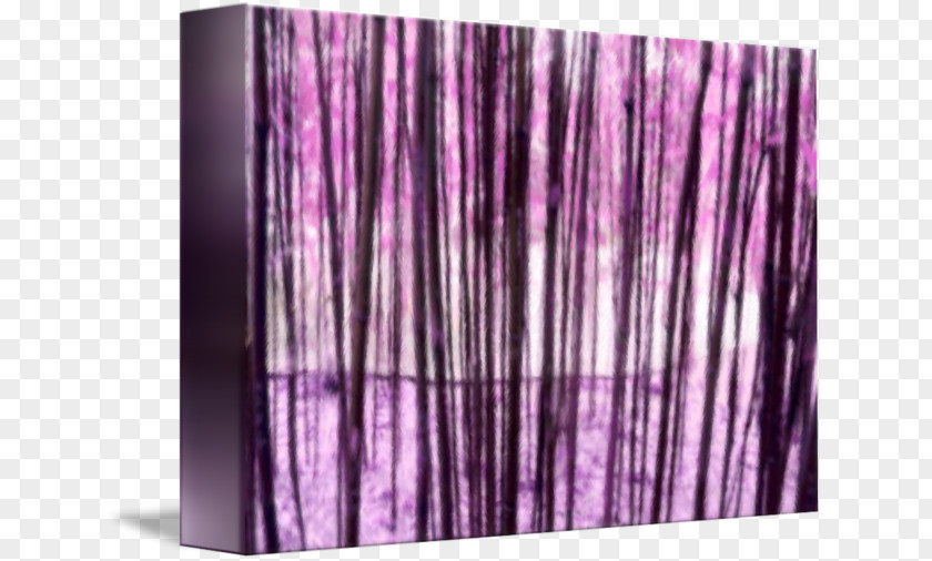 Retro Grove Wood Purple /m/083vt PNG