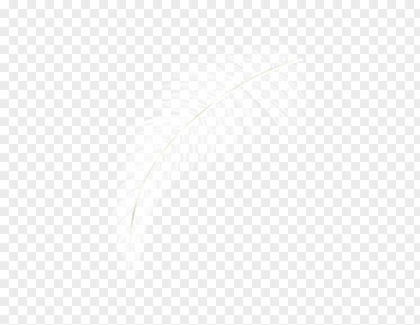 White Feather Computer Graphics PNG