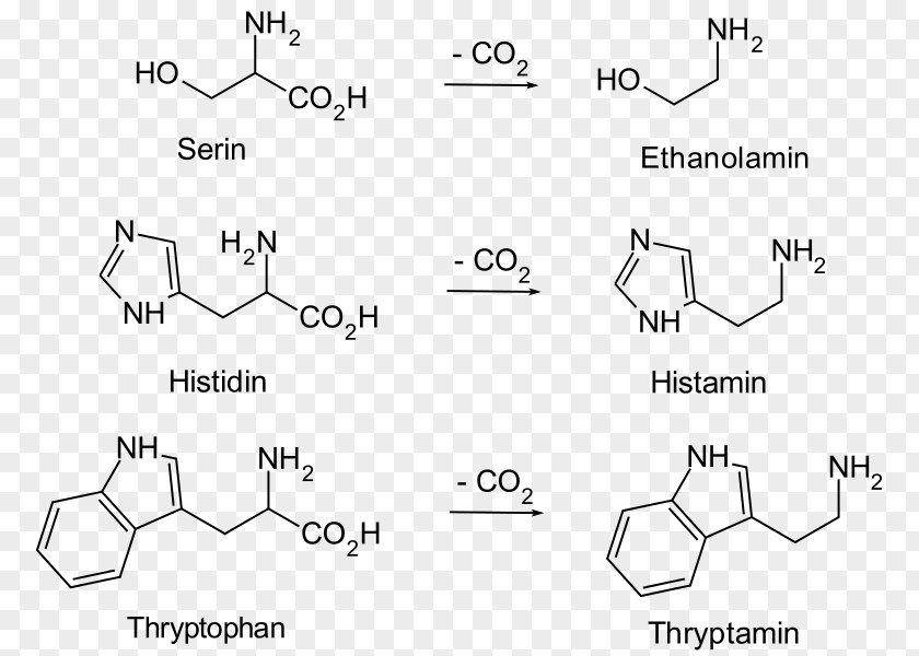 Biogenic Substance Amine Serine Ethanolamine PNG