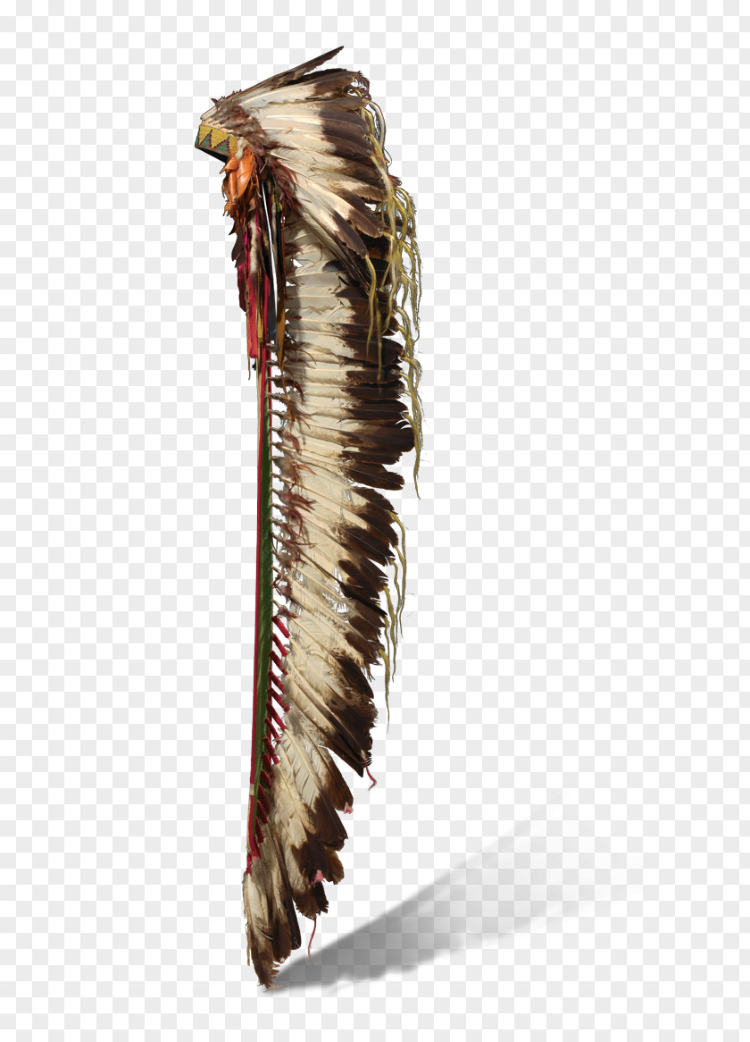 Feather Nelson-Atkins Museum Of Art War Bonnet Native Americans In The United States Indigenous Peoples Americas Eagle Law PNG