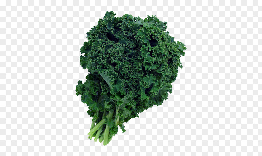 Kale Smoothie Juice Chinese Broccoli Leaf Vegetable PNG