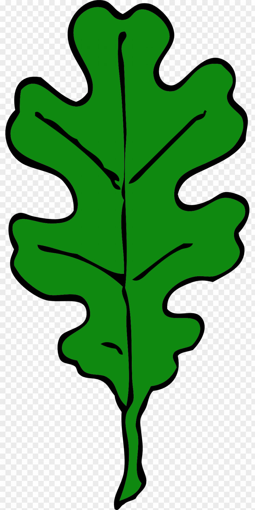 Leaf Acorn Clip Art PNG