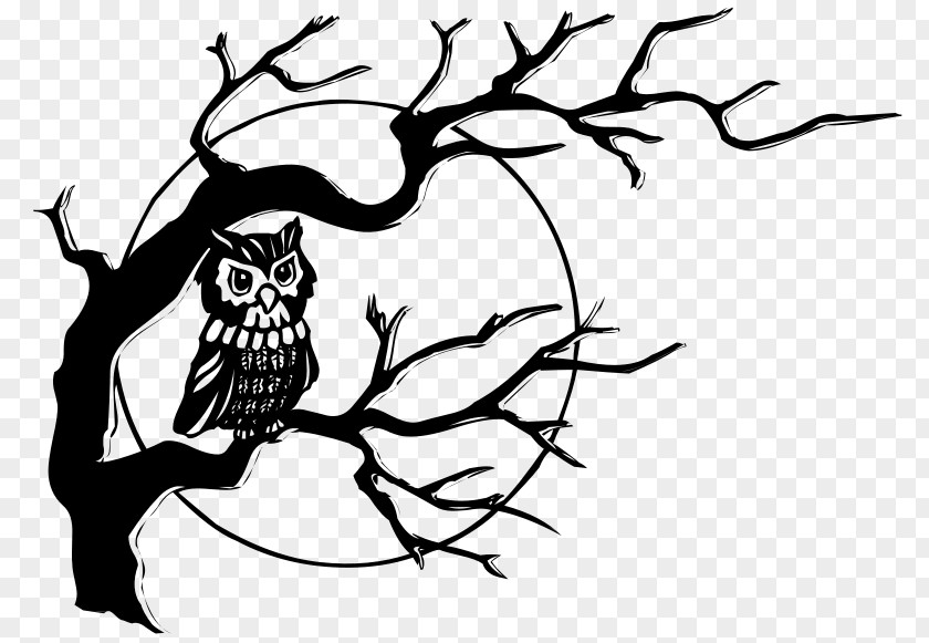 Owl Clip Art PNG